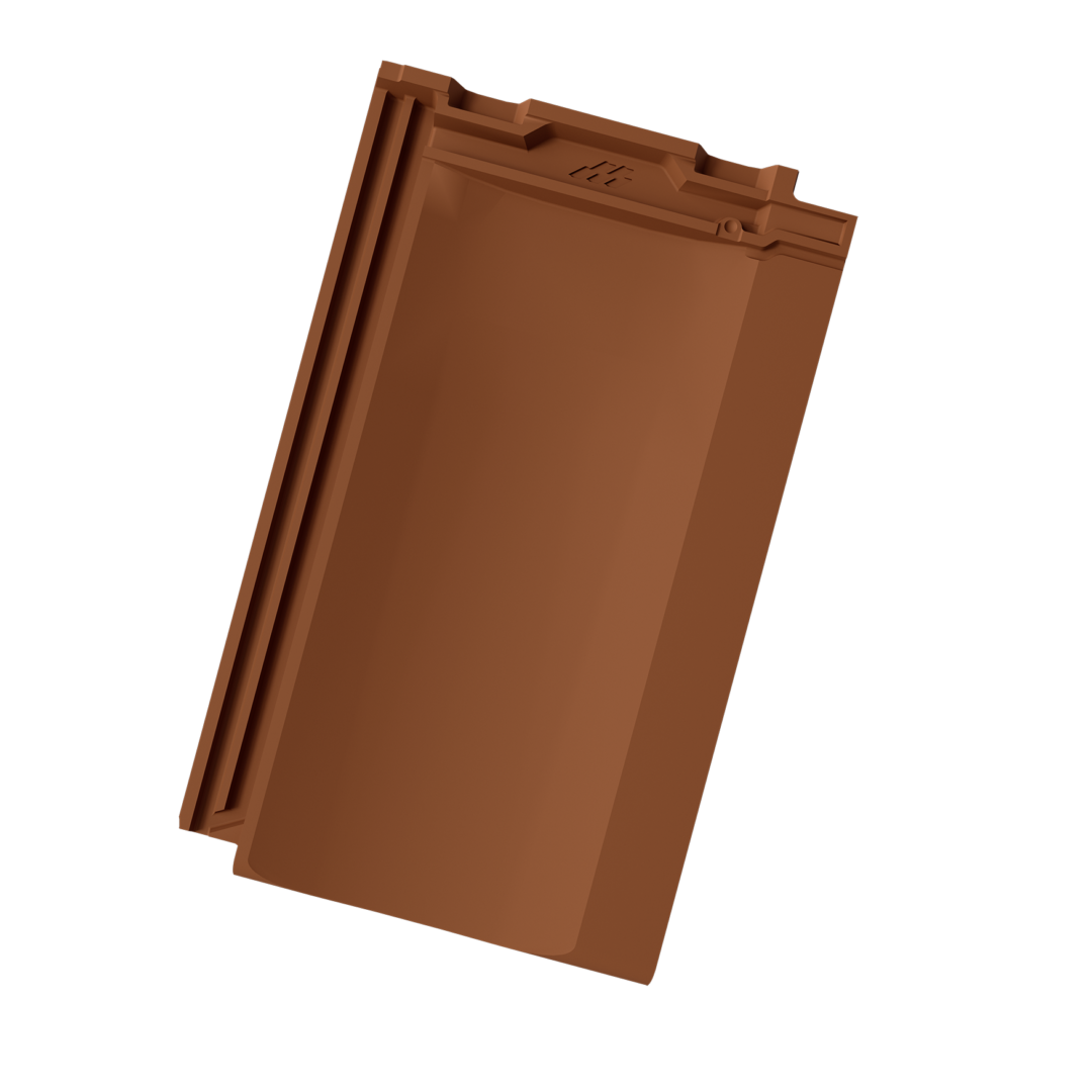 MLADOST-Kontinent-pro-braon-mat